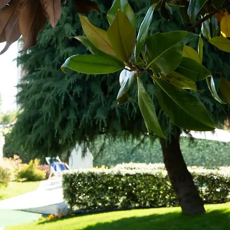 Cascina36 *